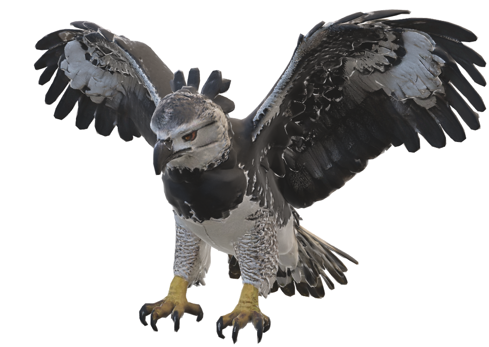 Águila harpía