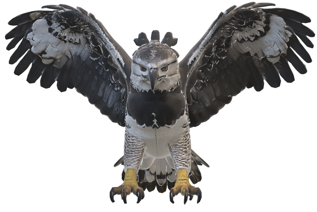 Águila harpía