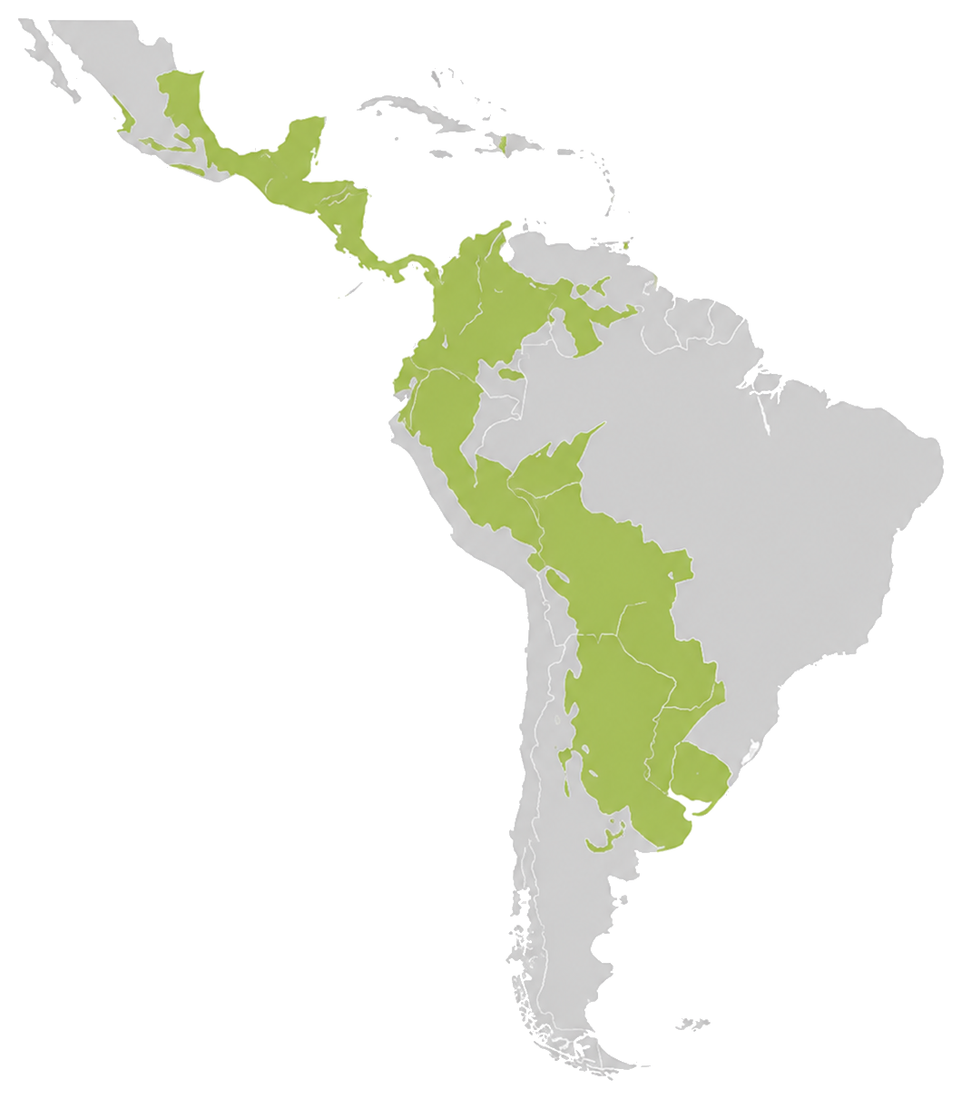 Mapa de distribución del águila harpía en América
